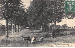 SAINT MARCELLIN - Promenade De Soud - Très Bon état - Saint-Marcellin