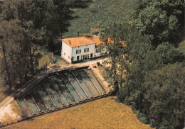 16  MANSLE Ferme Auberge Le Moulin De Jaulay à Ste Colombe   34 (scan Recto Verso)MH2991 - Mansle