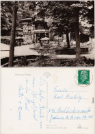 Rabenau Rabenauer Mühle Foto Ansichtskarte 1966 - Rabenau