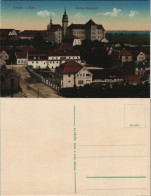 Ansichtskarte Torgau Villa, Schloß, Straße 1913 - Torgau