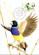 5-5-2024 (4 Z 11) Australia (1 Card) Maxicard - Endangered Birds - Gouldian Finch - Maximumkarten (MC)