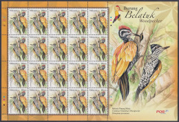 Malaysia 2013 MNH Common Flameback Woodpecker, Bird, Birds, Burung Belatuk, Sheet - Malasia (1964-...)