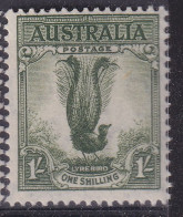 Australia 1941 Lyrebird P.14x15 SG 192 Mint Never Hinged - Mint Stamps