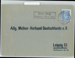 51341807 - Klein-Mutz - Zehdenick