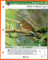 ROBIN A FLANCS ROUX Oiseau Illustrée Documentée  Animaux Oiseaux Fiche Dépliante - Animals