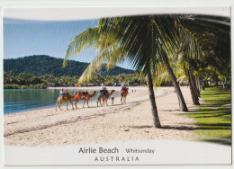 Australia QUEENSLAND QLD Camel Riding AIRLIE BEACH Whitsunday Murray Views WIT013A Postcard C1990s - Mackay / Whitsundays