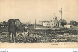 ALEXANDRIA SIDI GABER MOSQUE - Alexandria