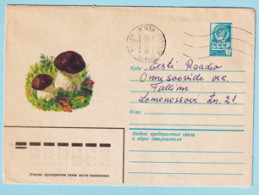 USSR 1979.0410. Mushroom (Boletus). Prestamped Cover, Used - 1970-79