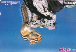 Japan Prepaid Rainbow Card 2000 - Kansai - Squirrel - Japan