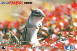 Japan Prepaid Kansai Card 5000 - Squirrel ? Mouse ? - Japan