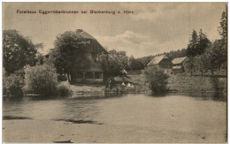 Blankenburg - Forsthaus Eggerröderbrunnen - Blankenburg