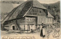Schwarzwaldhaus Mit Elzacher Tracht - Elzach
