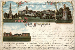 Gruss Aus Neumünster - Litho - Neumünster