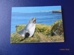 Cartes Postales Antarctique - Lots & Serien