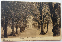 ROMA - 1908 - Villa Borghese: Un Viale - Parcs & Jardins