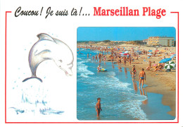 34 Marseillan Plage    Plage   N° 16 \MM5026 - Marseillan