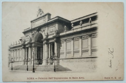 ROMA - 1903 - Palazzo Di Esposizione Di Belle Arti - Musei