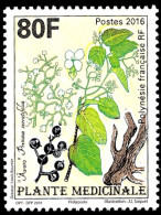 POLYNESIE - Plante Médicinale : "Avaro" - Unused Stamps