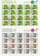 LIECHTENSTEIN BLOCK KLEINBOGEN Nr 960-961 ZENTR X7A6BA6 - Blocks & Sheetlets & Panes