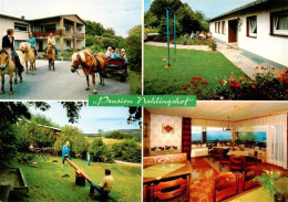 73943299 Sundern_Sauerland Pension Nehlingshof Gastraum Ponykutsche Spielplatz - Sundern