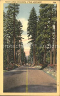 11688370 Oregon_US-State Through The Evergreens Of The Northwest - Andere & Zonder Classificatie