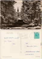 Riesa Stadtpark - Mittelweg Mit Blick Auf Die Kirche 1961  - Riesa