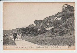 HAUTE ISLE - VAL D'OISE - CHANTEMERLE, ROUTE DE LA ROCHE GUYON - Haute-Isle