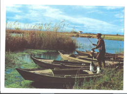 VALENCIA - Serie 19 N°131 - Paysage De L'ALBUFERA - Valencia