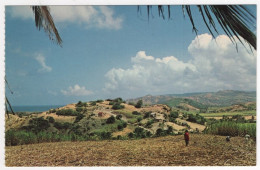 AK 210336 BARBADOS - Harvesting The Cane - Barbados