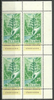 Turkey; 1957 Centenary Of The Instruction Of Forestry In Turkey ERROR "Shifted Perf." - Neufs