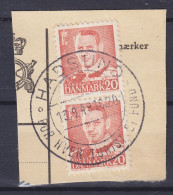 Denmark 1948 Mi. 304, 20 Øre King Frederik IX. Sonderstempel 'For Hver Turist Et Fund' HADSUND 1949 Clip - Used Stamps