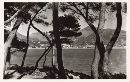 FRANCE - Le Cap Martin - Aperçu De Menton Entre Les Pins - Coll "La Côte D'Azur" - Carte Postale - Roquebrune-Cap-Martin