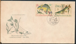 °°° CESKOSLOVENSKO 1966 FDC °°° - Covers & Documents