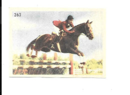 CY17  - VIGNETTE ETOILE DES ALPES - JUMPING - Equitation