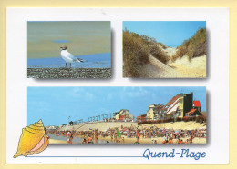 80. QUEND-PLAGE –  3 Vues – Mouette / Dune / Plage (animée) (voir Scan Recto/verso) - Quend