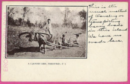 Ag3572 -  Philippines - VINTAGE POSTCARD  - Ethnic, A Country Ride - Philippines