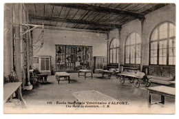 Ecole Nationale Vétérinaire. Une Salle De Dissection - Maisons Alfort