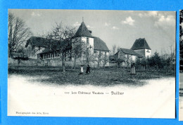 VIX043, Duillier, Animée, Les Châteaux Vaudois, 1550, Précurseur , Non Circulée - Duillier