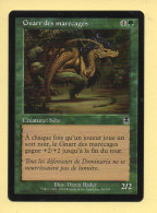 Magic The Gathering N° 76/143 – Créature : Bête – GNARR DES MARECAGES / Apocalypse (MTG) - Cartes Vertes