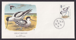 Grossbritannien Europa Fauna Vogel Avocet Schöner Künstler Brief - Covers & Documents