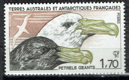 Faune Antarctique : Pétrels Géants - Neufs