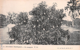 MALI SOUDAN Français A.O.F. Arbre Un MANGUIER  (Scan R/V) N° 74 \MP7123 - Mali