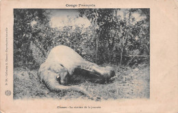 CONGO Brazzaville Chasse à L'éléphant Victime De La Journé Non Circulé Dos Vierge éd G.Giraud (Scan R/V) N° 52 \MP7125 - Brazzaville