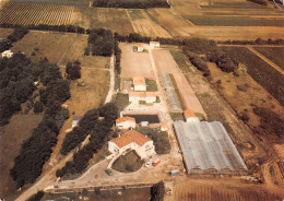 17 ILE D'OLERON Saint-Pierre-d'Oléron La CROIX FLEURIE DES LANDES Explotation Horticole  (Scan R/V) N° 16 \MP7145 - Saint-Pierre-d'Oleron