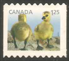 Canada Geese Oies Gans Gansa Oca Annual Collection Annuelle MNH ** Neuf SC (C24-28iib) - Geese