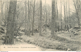 CPA Vaux De Cernay-Extrémités Des Cascades-Timbre     L1095 - Vaux De Cernay