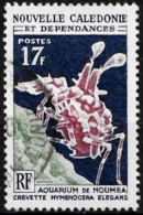 Nouvelle Calédonie 1964 - Yvert N° 324 - Michel N° 404 Oblitéré - Oblitérés