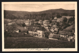 AK Hohwald, Teilansicht Mit Strassenpartie  - Hohwald (Sachsen)