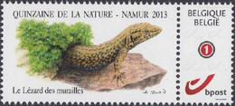 DUOSTAMP** / MYSTAMP** - Buzin - Lézard Des Murailles / Muurhagedis / Mauereidechse / Wall Lizard - Other & Unclassified