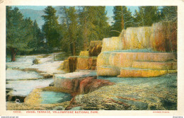 CPA Yellowstone Park-Angel Terrace-19016    L2050 - Sonstige & Ohne Zuordnung
